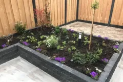 borderaangeplant-5c251654-1920w
