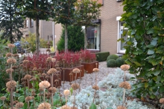 roelofs