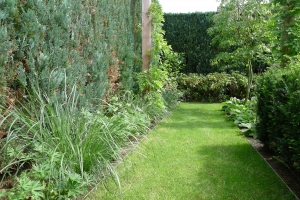 groene-tuin-sjoerddejong-hoveniers-3