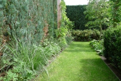 groene-tuin-sjoerddejong-hoveniers-3