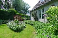 sjoerddejonggeraniumtuin22