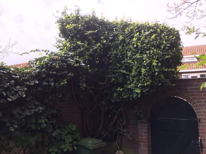 IMG_6059-X2