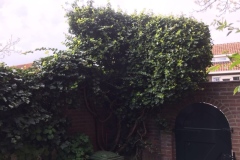 IMG_6059-X2