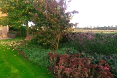 Hoveniersbedrijf van Antwerpen - Wehl