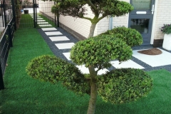 large_25_003