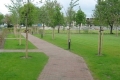 large_26_003