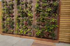 IMG-20210416-WA0057-1920w