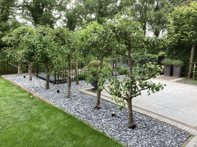 bomen-laten-snoeien