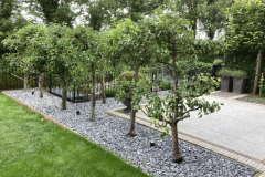 bomen-laten-snoeien