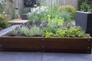 tuin-6