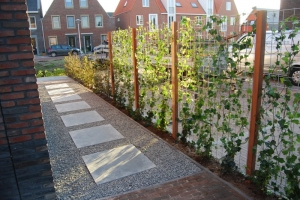 tuin-9-2